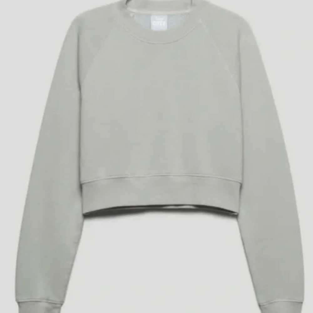 TNA Cozy Fleece Sage Green Cropped Sweater Sweatshirt Size M Aritzia